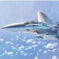 1/72 F-15J 鹰式(Otsu Line)“航空自卫队” 涂装
