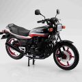 摩托车系列 No.51 川崎 Z400GP＆Custom 1982款