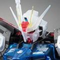MG 机动战士高达SEED Aile Strike强袭高达 Ver. RM Clear Color ver. 
