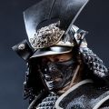 EX030-B 仁者武士 豪华版