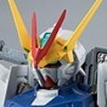 ROBOT魂 机动战士高达SEED DESTINY ASTRAY ZGMF-X12D异端高达非规格机D
