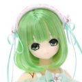 Magical☆CUTE/Floral Ease 美宇 ～轻柔短发～ (Azone Staff 特别发型式样ver.)