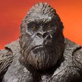 S.H.MonsterArts 哥斯拉 VS. 金刚 金刚 (2021)
