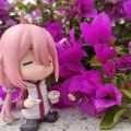 🌸摇曳花季🌸