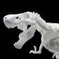 恐龙骨格 霸王龙