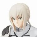 剧场版 命运-冠位指定 -神圣圆桌领域卡美洛- 贝德维尔
