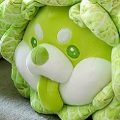 蔬菜精灵系列 白菜狗 公仔毛绒玩偶 & 抱枕