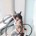 泳装大猫猫
