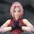 S.H.Figuarts   春野樱 -师傅真传的不屈意志-