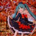 Taito 初音 四季 秋