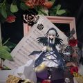 蔷薇少女pop