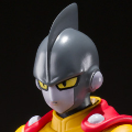 S.H.Figuarts   伽马1号