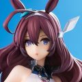 赛马娘 美浦波旁