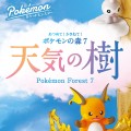 集集乐！叠叠乐！宝可梦森林7 天气之树