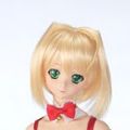 Dollfie Dream Sister DDS 放学后秋叶原女孩 阿歌菈 第二版