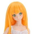 Dollfie Dream Sister DDS 卡琳