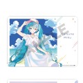 初音未来 橡胶垫