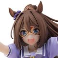 赛马娘 闪耀！优俊少女 神鹰