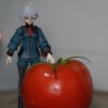 BIG TOMATO