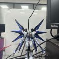20周年mr强自