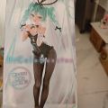 时隔多年再入手一款初音景品