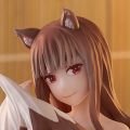 温泉·汤~理想乡 狼与香辛料 merchant meets the wise wolf  赫萝