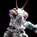 蟲系列 实验体B0127 螳螂