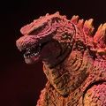 S.H.MonsterArts 哥斯拉（2014）5张光盘限定套组