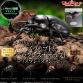 高级生物大图鉴  象兜虫 与 长戟大兜虫 展示架套装