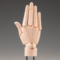 艺术参考工具 手部模型/右手 -淡橘色-