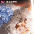 尘白禁区 新品