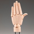 艺术参考工具 手部模型/左手 -淡橘色-