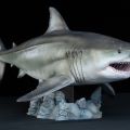 巨齿鲨
