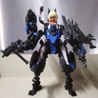 大火鸟——蓝姬鹟