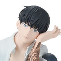 唯愿来世不相识动画版 小坐系列奖品人偶 “鸟苇翔真”