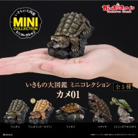生物大图鉴 迷你系列 龟01