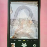 这波血赚，真的值