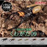 生物大图鉴 锹甲09