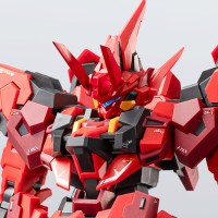 1/100 塑料免胶拼装模型 [闪灵-火喰鸟]