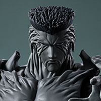 S.H.Figuarts  户愚吕弟100％