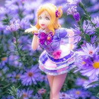 手办外拍｜立于紫菀花海间