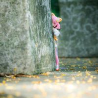 带猫猫出去玩