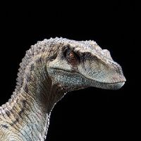 侏罗纪公园3 雌性迅猛龙