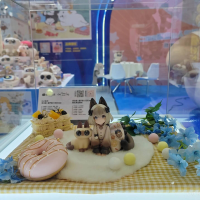 小豆泥上色展示图！！