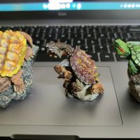 生物图鉴迷你龟龟