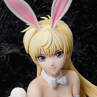 B-style BASTARD!! -暗黑破坏神- 辛·哈利 兔女郎