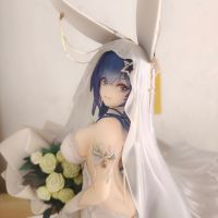 花园白雪之仪开箱吐槽（非专业测评）