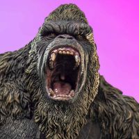 金刚（2024）+战斗手套