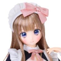 POD051-HWD Colorful Dreamin'/仙境里的叶鸟心音 深色皇家蓝