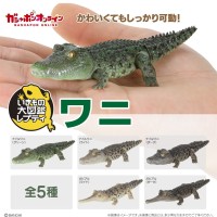 爬行生物大图鉴 鳄鱼